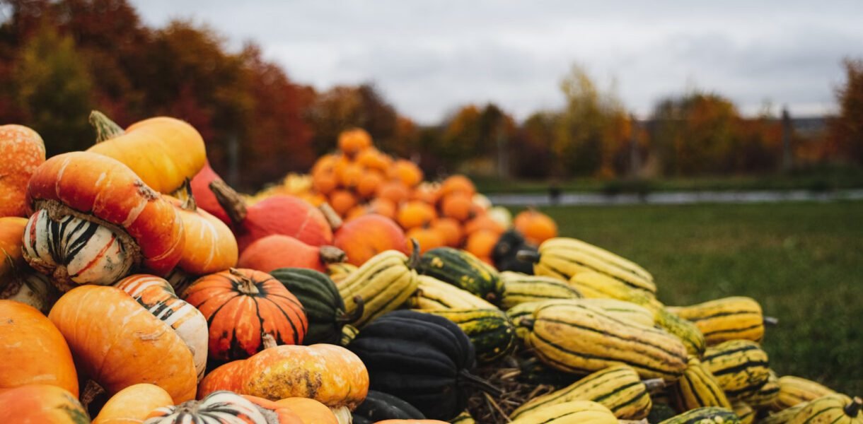 Citrulline in Curcurbits