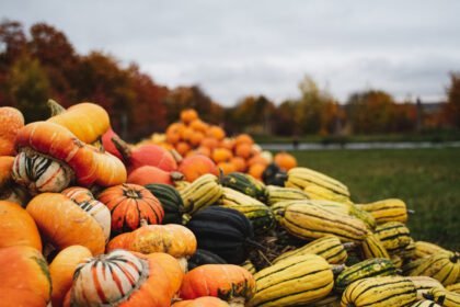 Citrulline in Curcurbits